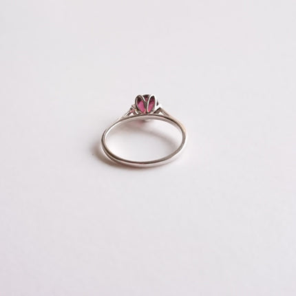 Ring met rhodoliet